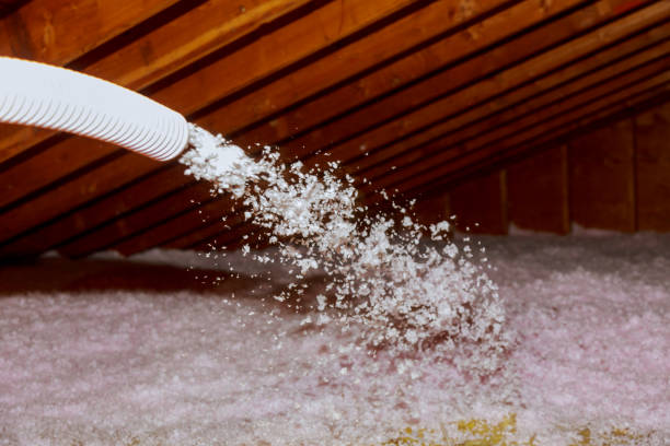 Best Geographic-Specific Insulation Services in Radford, VA