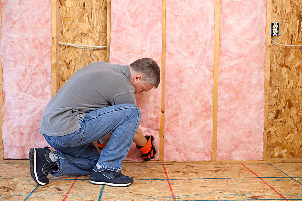 Best Specialized Insulation Services in Radford, VA